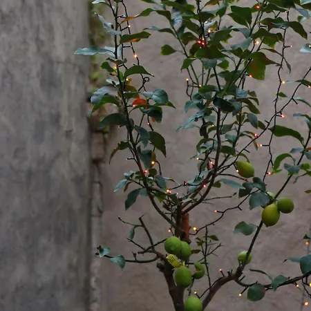 Lemon Garden 别墅 *